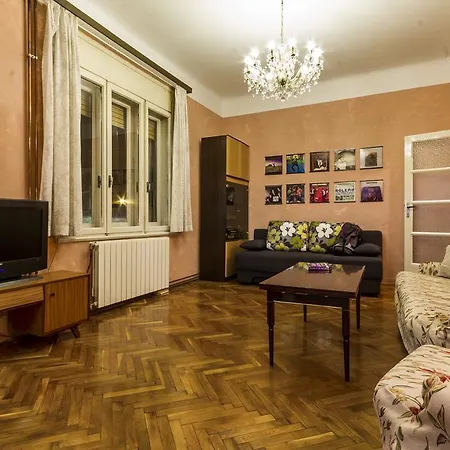 Apartman Spacious & Smart Center